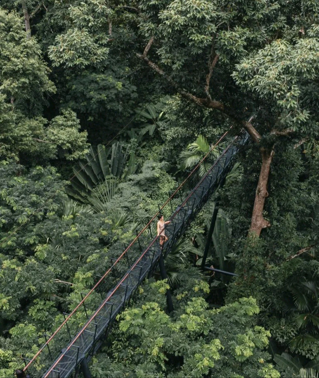Hanuman World : Combine World B+ (Zipline 18 Platforms + Roller + Skywalk + Meal at Wanon Zone) — image 5