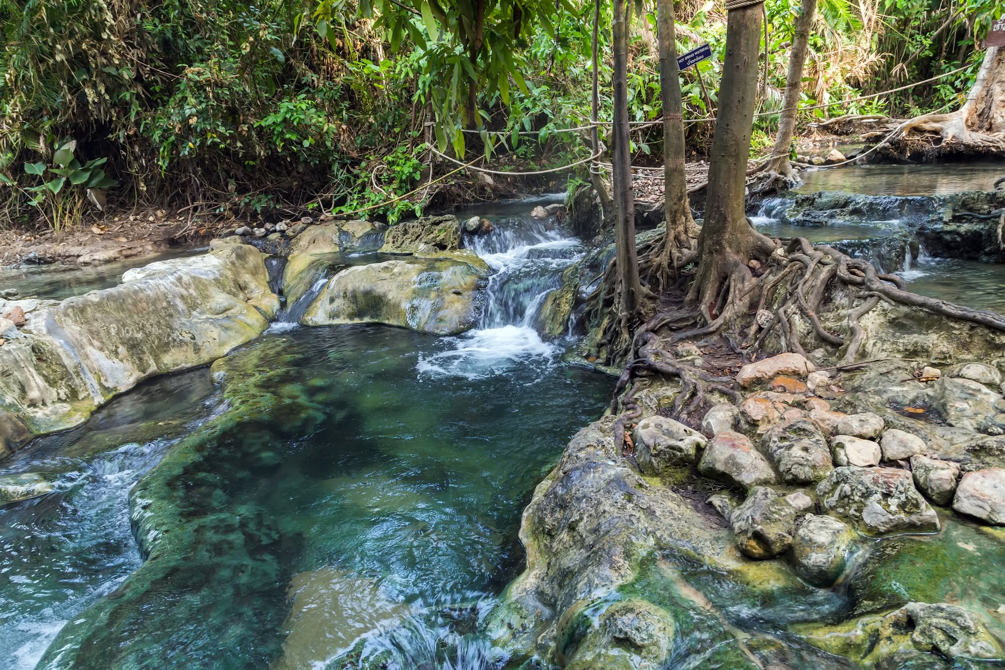 Krabi Jungle Tour - Hot Spring + Emerald Pool + Tiger Cave + Lunch  (NOT Incl. National Park Fees) + No Transfer (P. A) — image 6