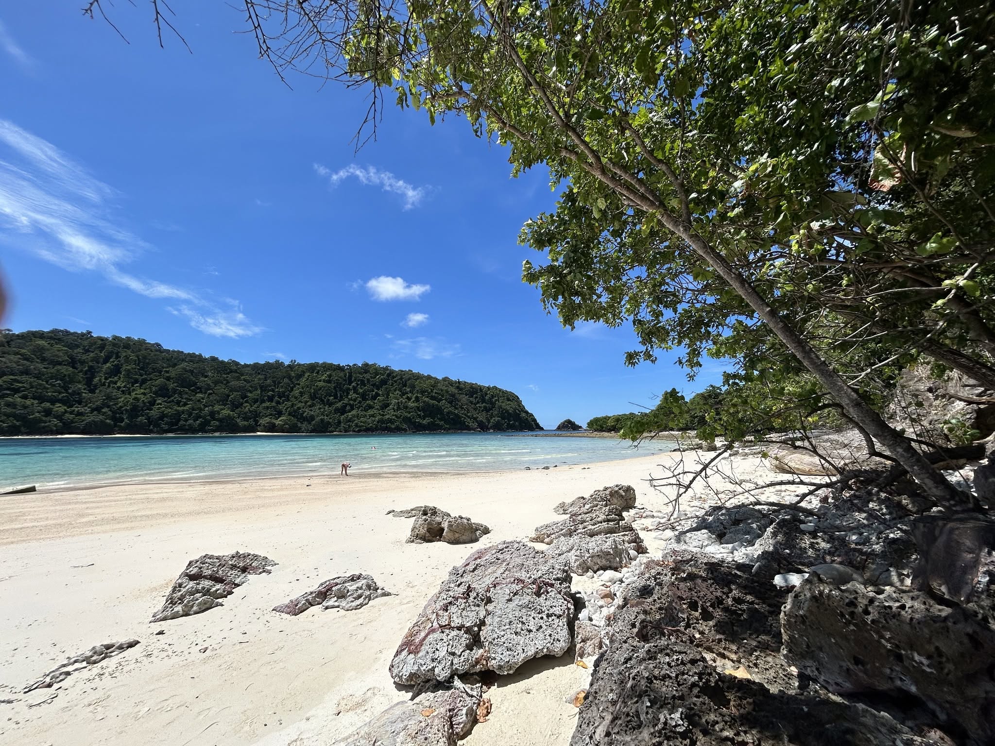 Koh Rok + Koh Ha Island Tour (By Speed Boat) + Lunch + SIC Transfer (Included National Park Fee)  — image 2
