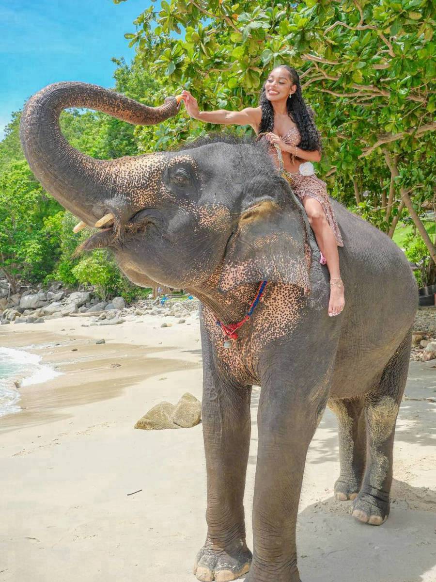 Take Photo & Ride Elephant on the Beach 15 minutes + SIC Transfer (Include Entrance Fee) — image 7