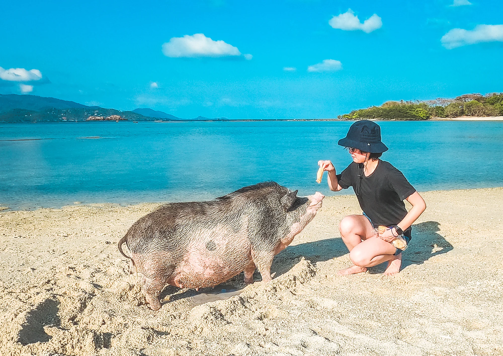 Luxury Longtail Boat (Private) - Koh Tan & Koh Mudsum  4 hours  (1-2 pax) (Exclude admission fee, Transfer) — image 8