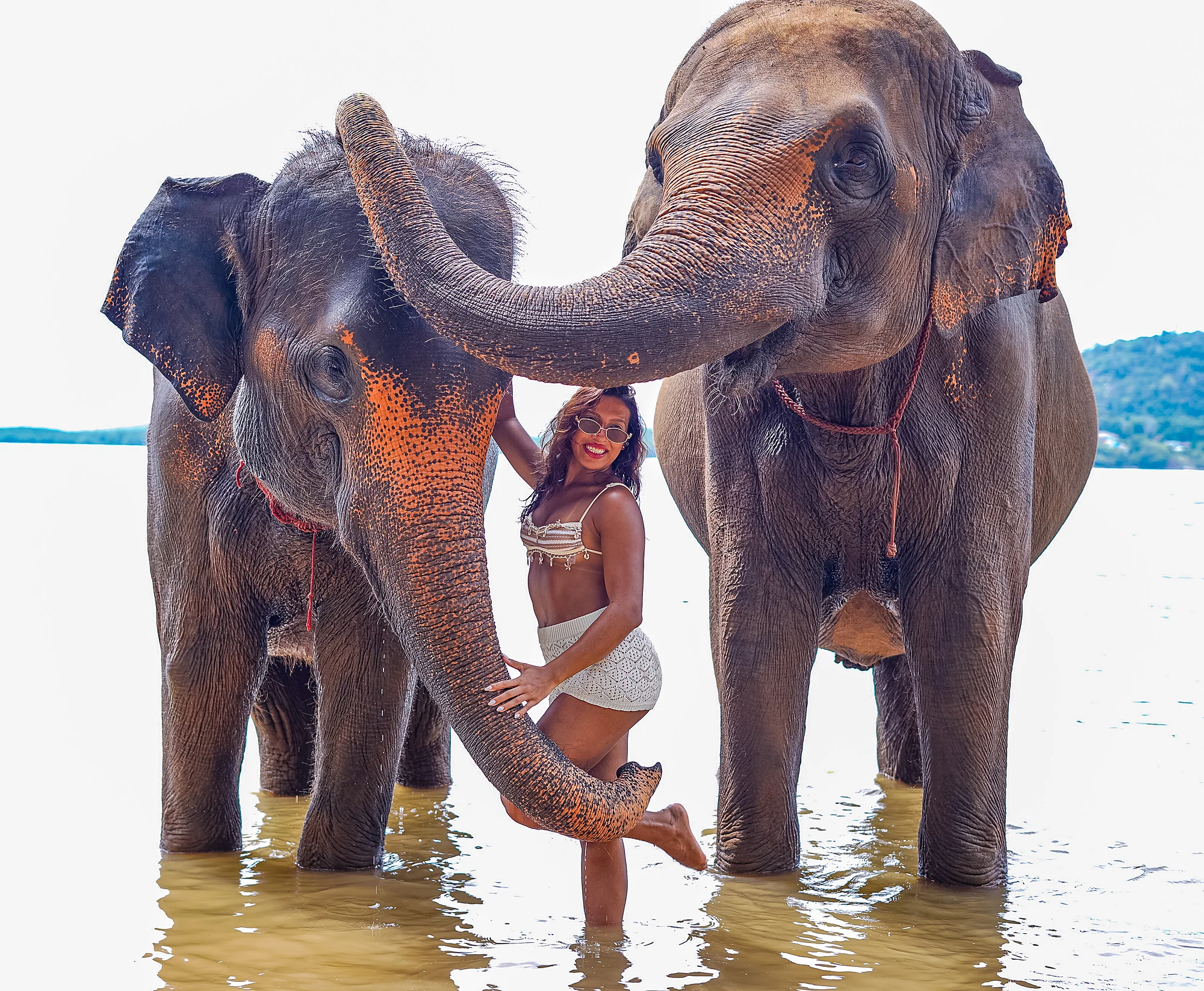 Elephant Feed & Bath on Private Beach at Siray + SIC Transfer (2.5 - 3 hours) — image 3