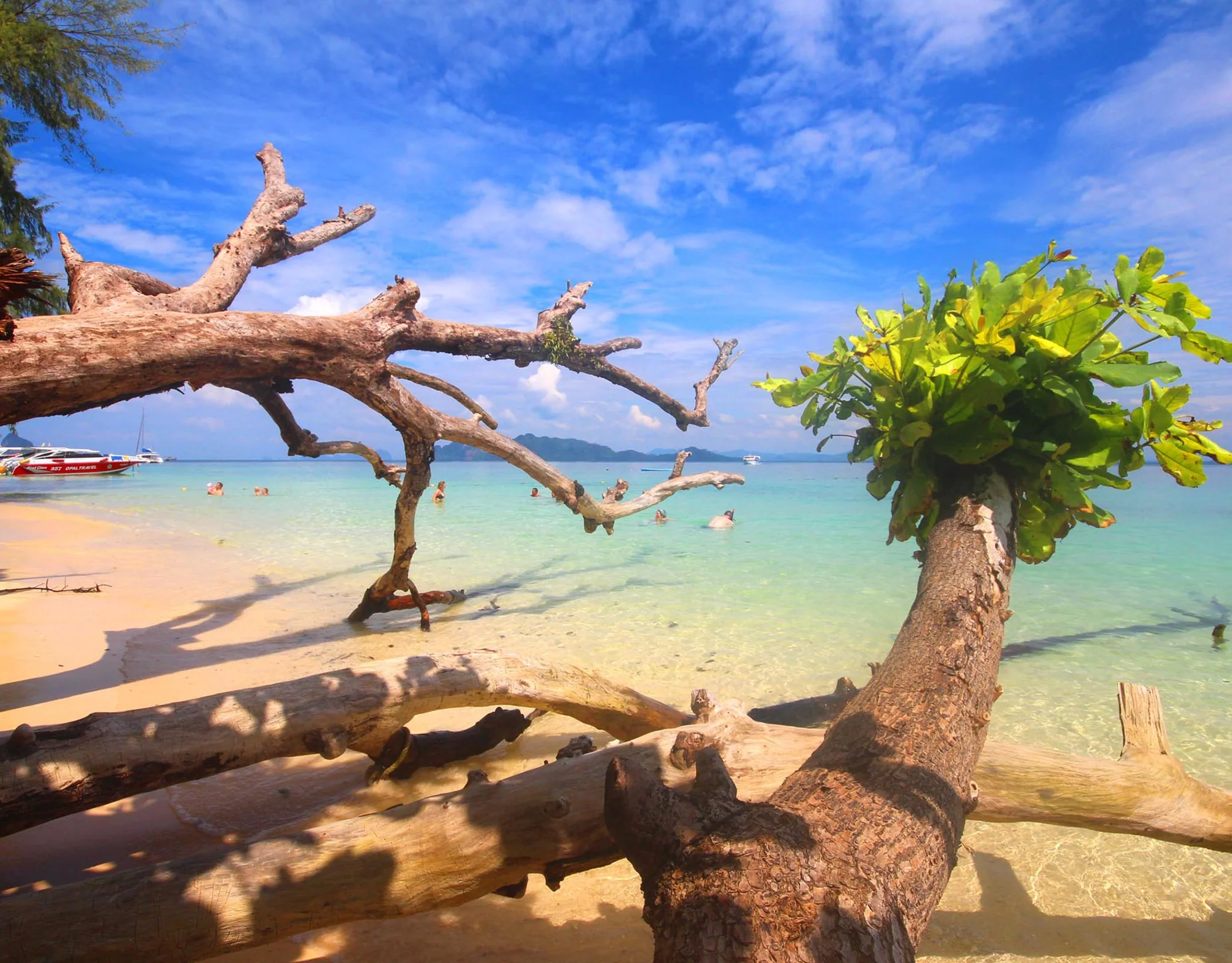 Phi Phi Island + Maya Bay + Maiton + Sunset + Lunch + National Park Fee + SIC Transfer  (By Speed Catamaran)