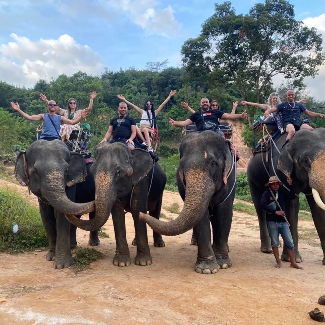 Elephant trekking experience on a 30-minute tour in Phuket