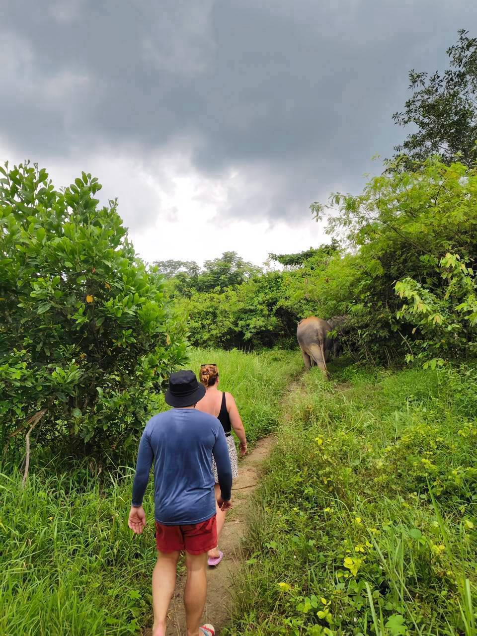 The Lake Phuket Elephant Home - Half-Day a Unique Experience (Program A) — image 13