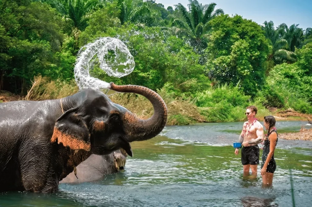 Khao Sok 2 Days 1 Night (Khaosok Jungle Discovery) (Overnight at Khaosok Discovery Camps)*minimum 2 Pax : KSL2-T — image 22