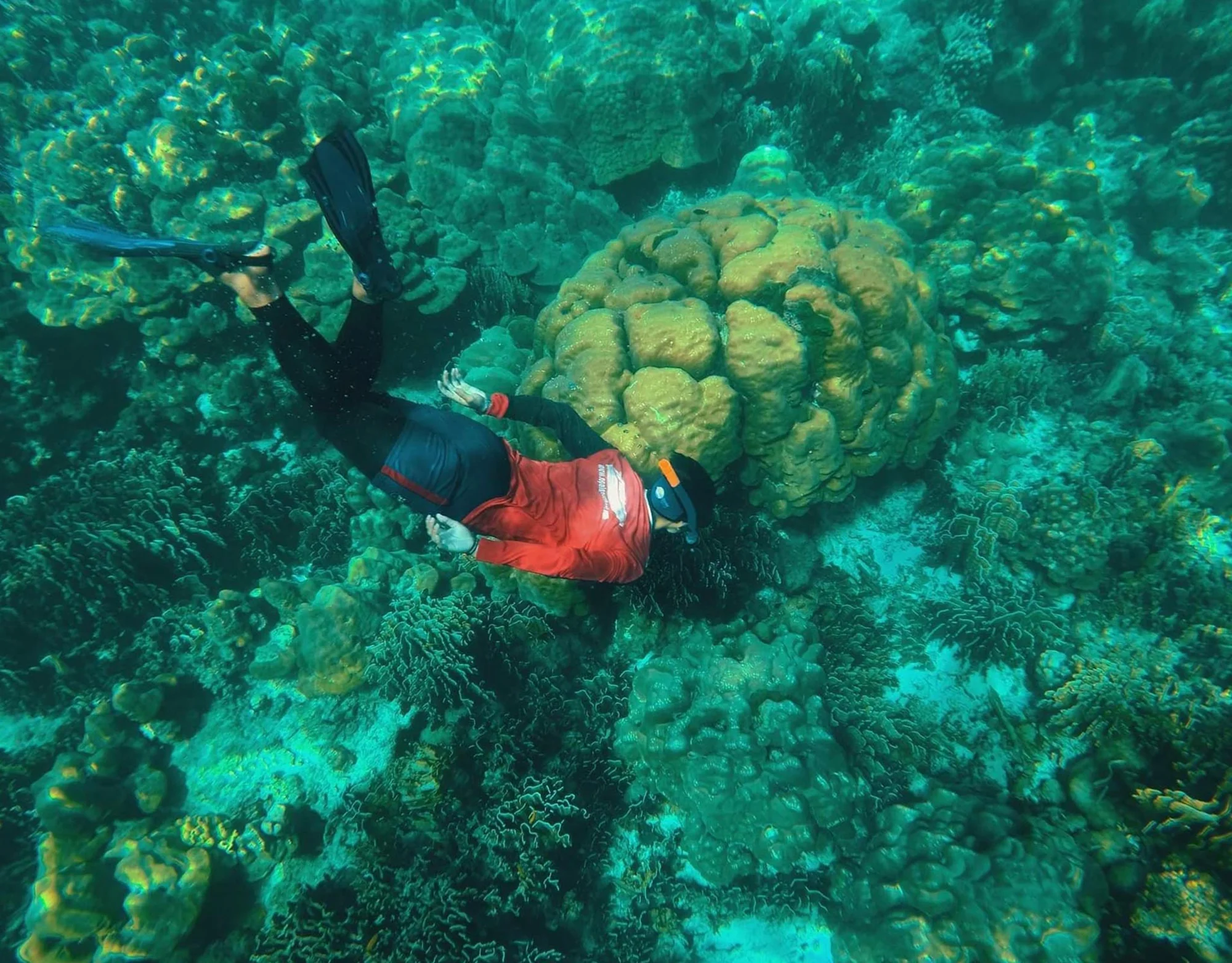 Lanta 4 Island (Depart from Lanta Island) (By Speed Boat) + Lunch + SIC Transfer - (No National Park Fee)  — image 5
