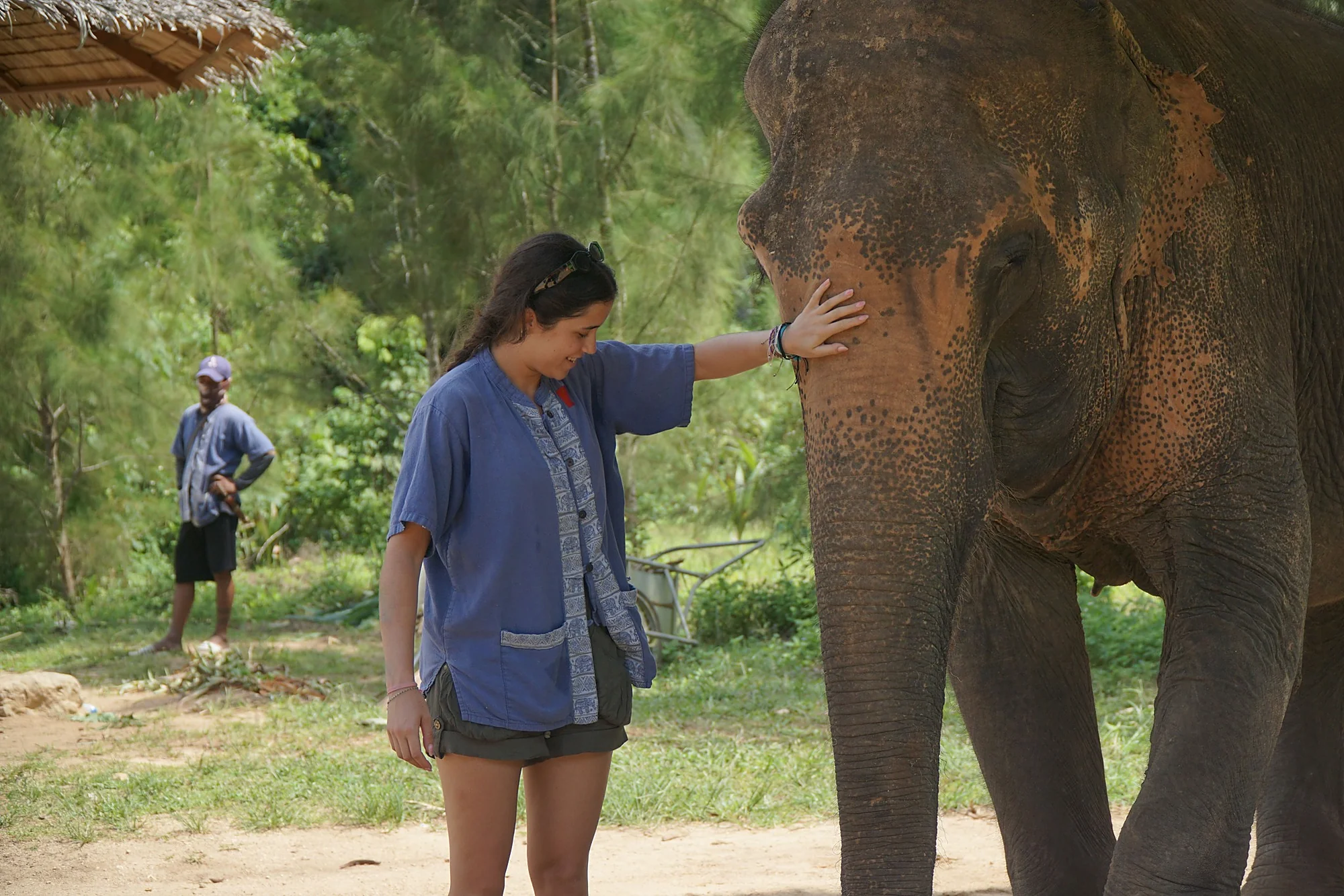 Samui Elephant Spa + Transfer  — image 9