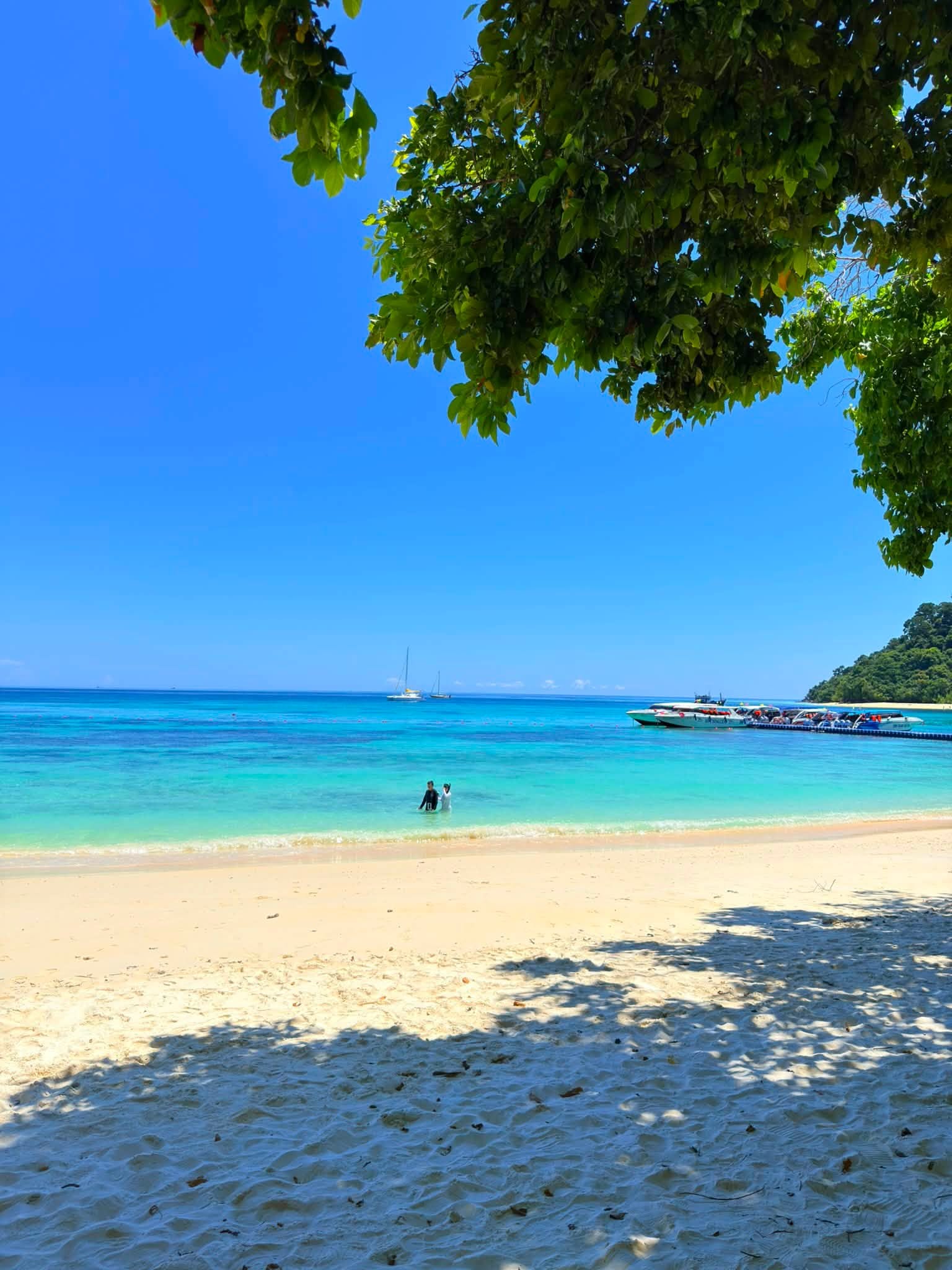 Koh Rok + Koh Ha Island Tour (By Speed Boat) + Lunch + SIC Transfer (Included National Park Fee)  — image 13