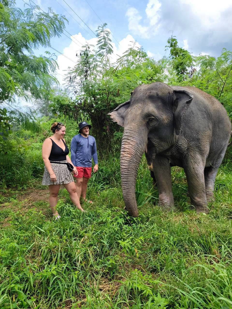 The Lake Phuket Elephant Home - FULLDAY Ethical Unforgettable Experience (Program B)  — image 19