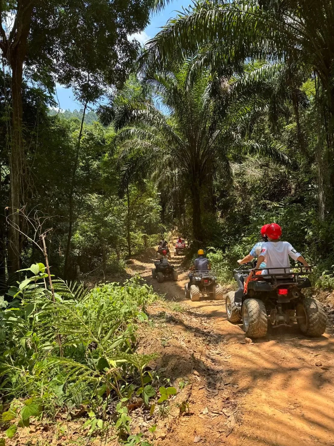 White Water Rafting 5.5 Km. + Elephant Trek 30 mins. + ATV 30 mins. + Waterfall + Lunch + Transfer — image 44