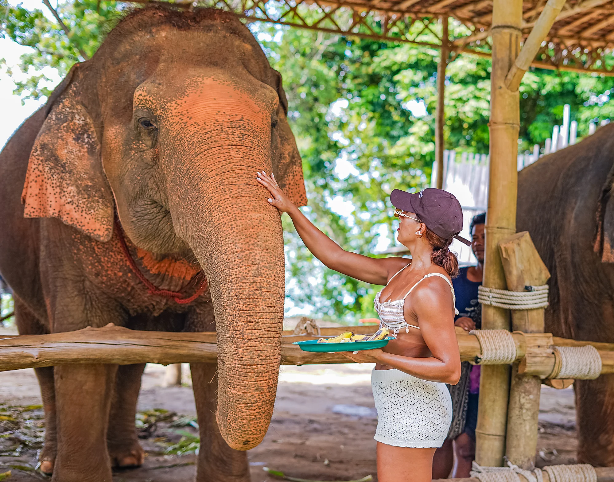 Elephant Feed & Bath on Private Beach at Siray + SIC Transfer (2.5 - 3 hours) — image 17