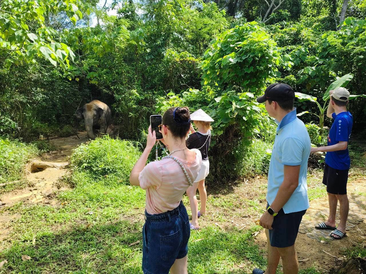 The Lake Phuket Elephant Home - FULLDAY Ethical Unforgettable Experience (Program B)  — image 22