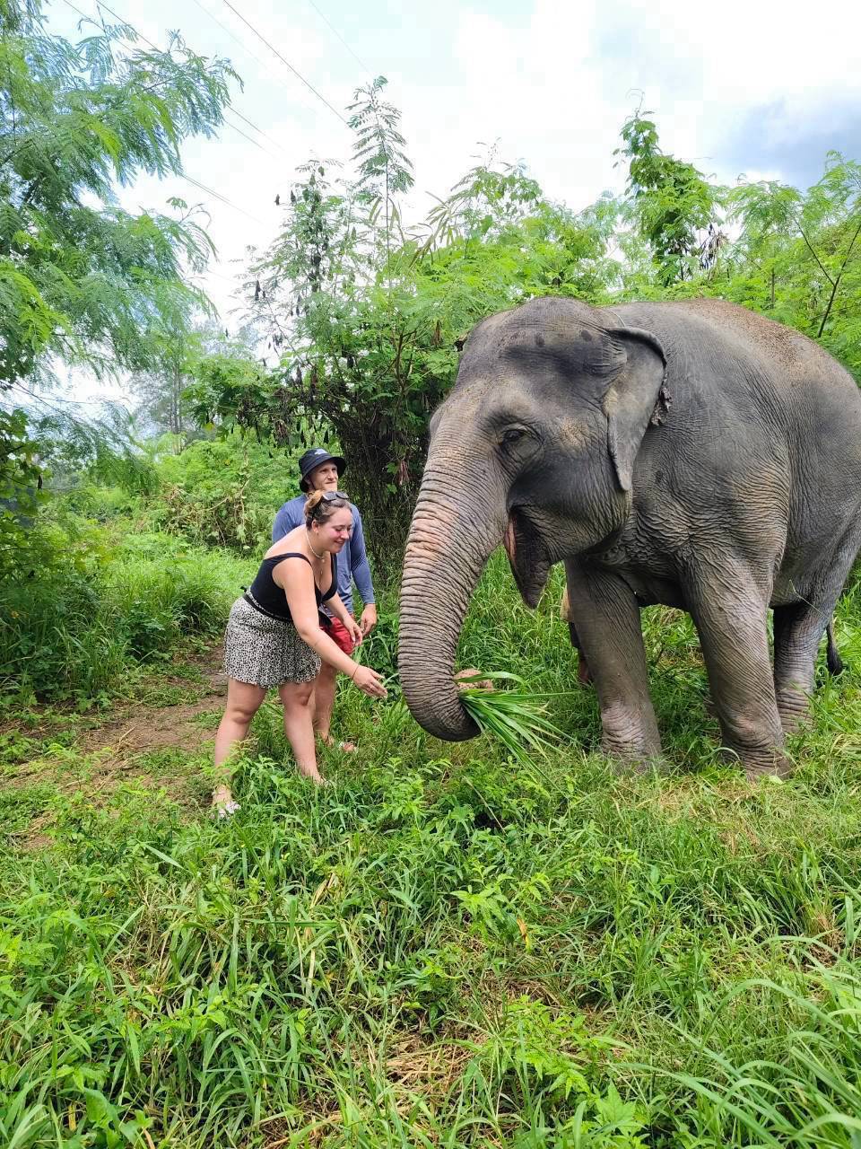 The Lake Phuket Elephant Home - FULLDAY Ethical Unforgettable Experience (Program B)  — image 11