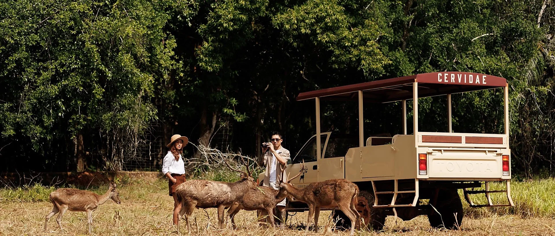 Friendly deer at Cervidae Deer Farm in Trang, where visitors enjoy an all-in farm tour with food and drinks