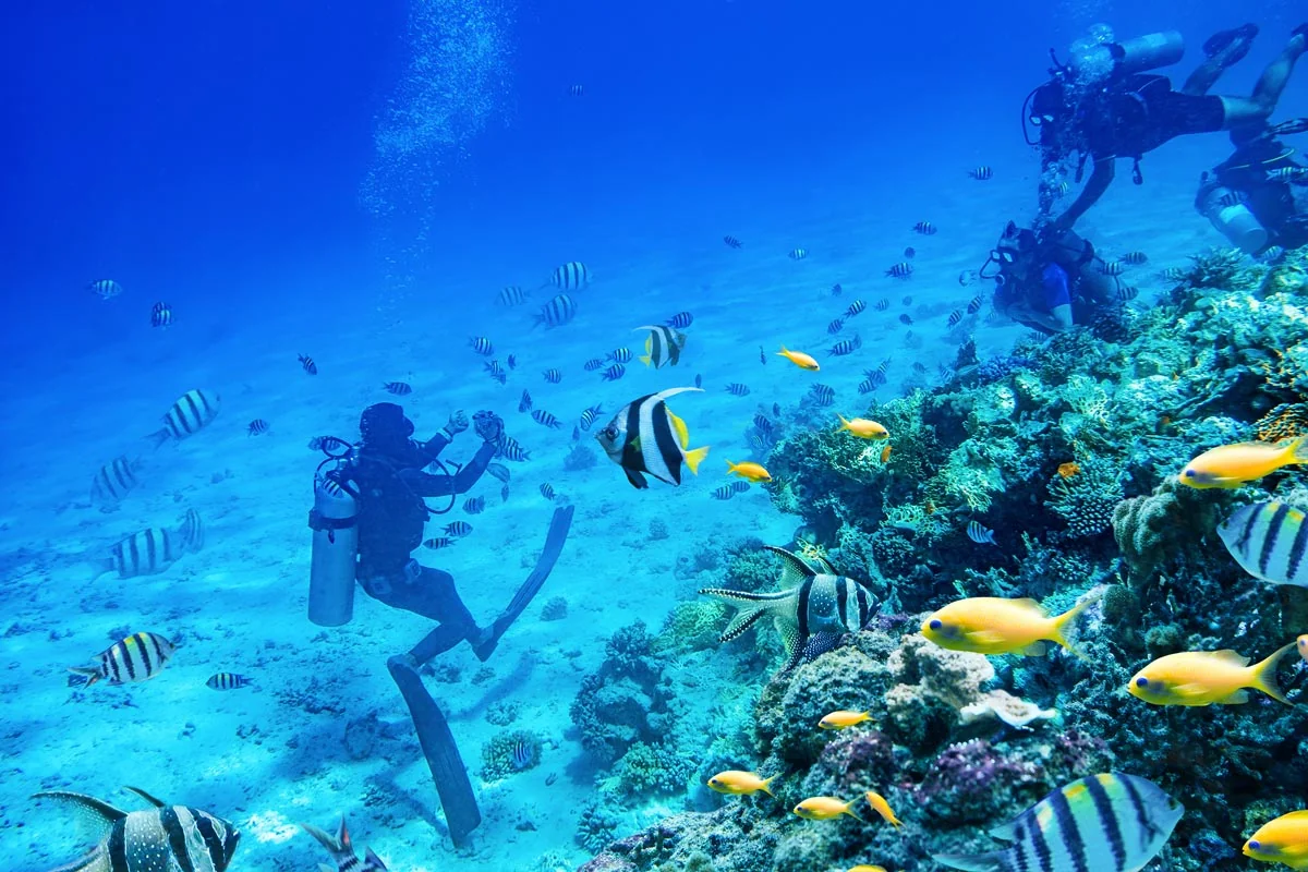 Scuba Diving - 2 Dives - (Racha Yai Island) - 1  Full Day Trip — image 25
