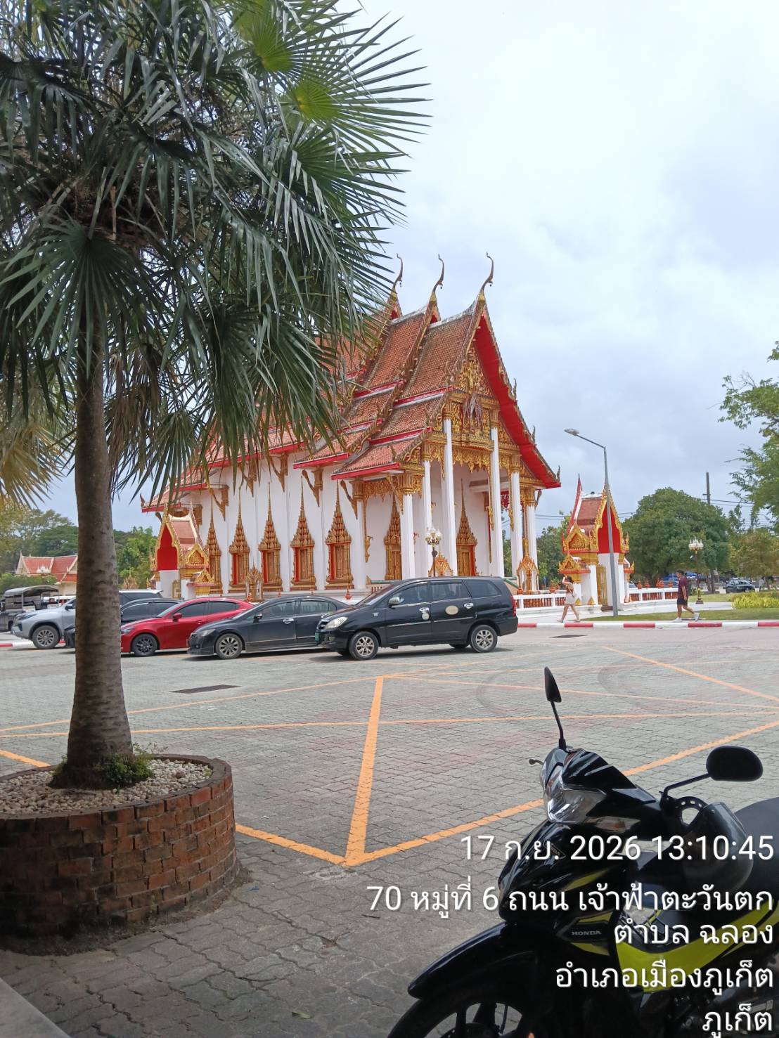 Ornate red-and-gold temple hall at Wat Chalong in Phuket, framed by palm trees and parked vehicles