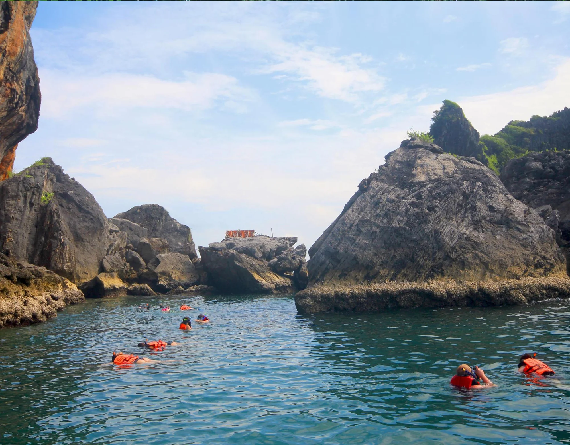 Lanta 4 Island (Depart from Lanta Island) (By Speed Boat) + Lunch + SIC Transfer - (No National Park Fee)  — image 9