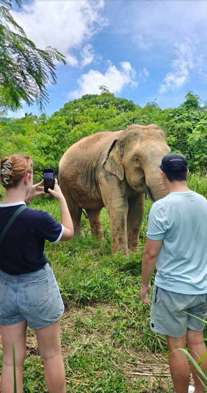 The Lake Phuket Elephant Home - FULLDAY Ethical Unforgettable Experience (Program B)  — image 13