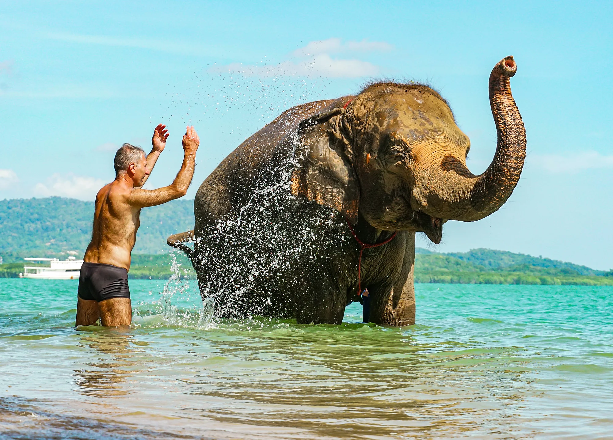 Feed & Bath at The Private Beach + SIC Transfer (2.5 - 3 hours) — image 11