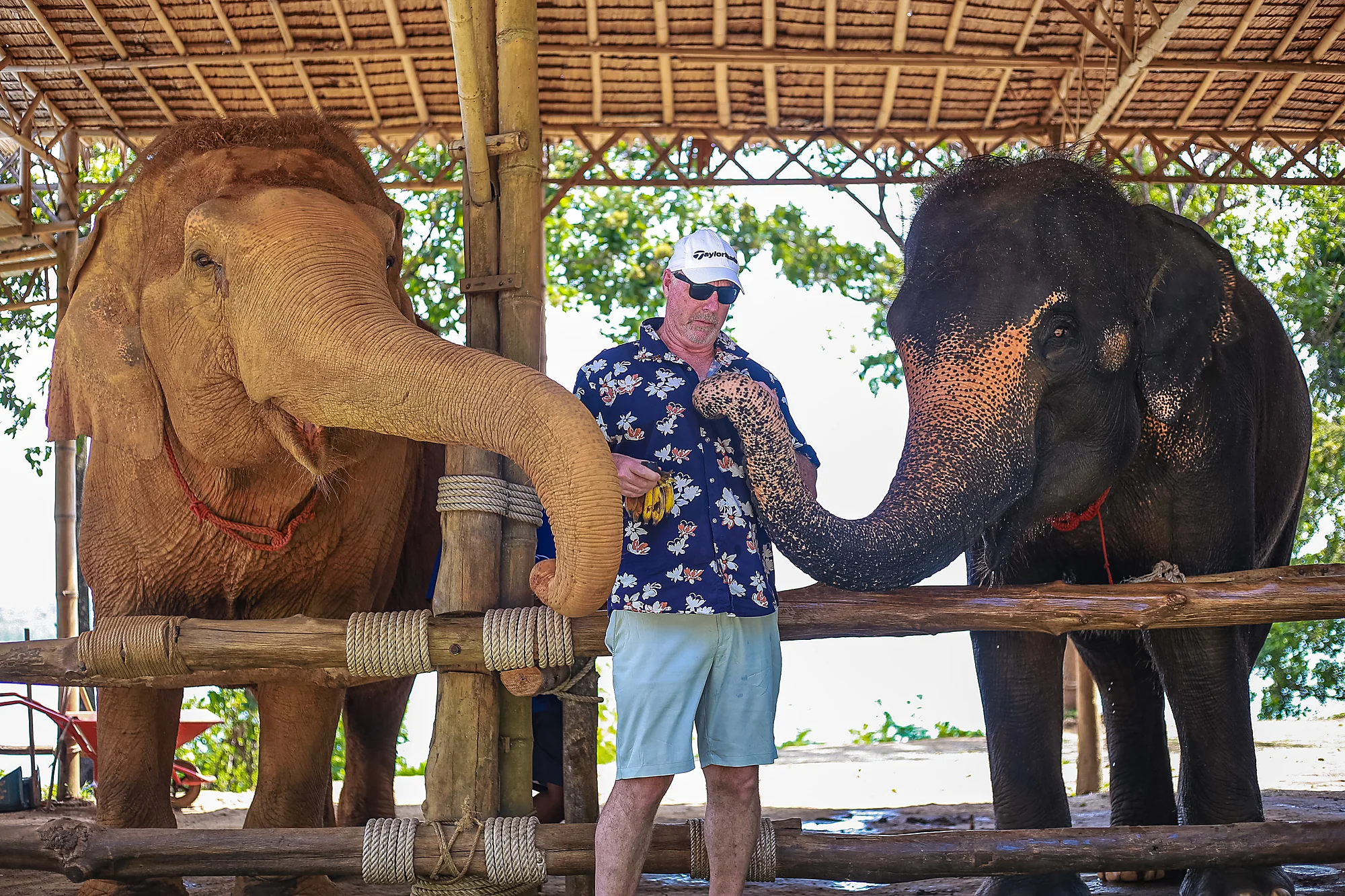 Feed & Bath at The Private Beach + SIC Transfer (2.5 - 3 hours) — image 15