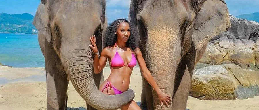 Traveler riding an elephant along the beach in Phuket during a 15-minute elephant experience