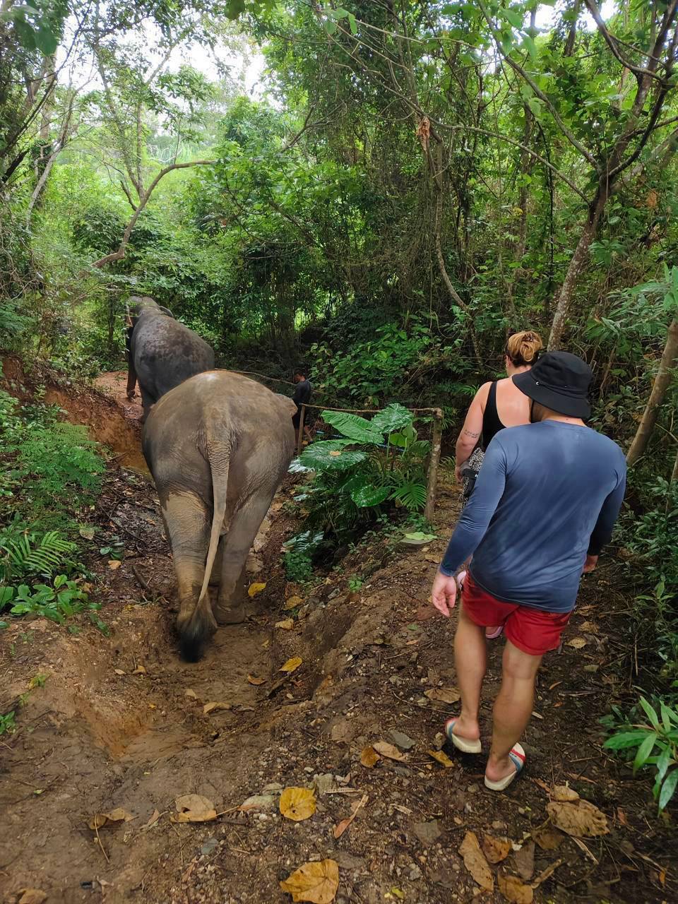 The Lake Phuket Elephant Home - FULLDAY Ethical Unforgettable Experience (Program B)  — image 26