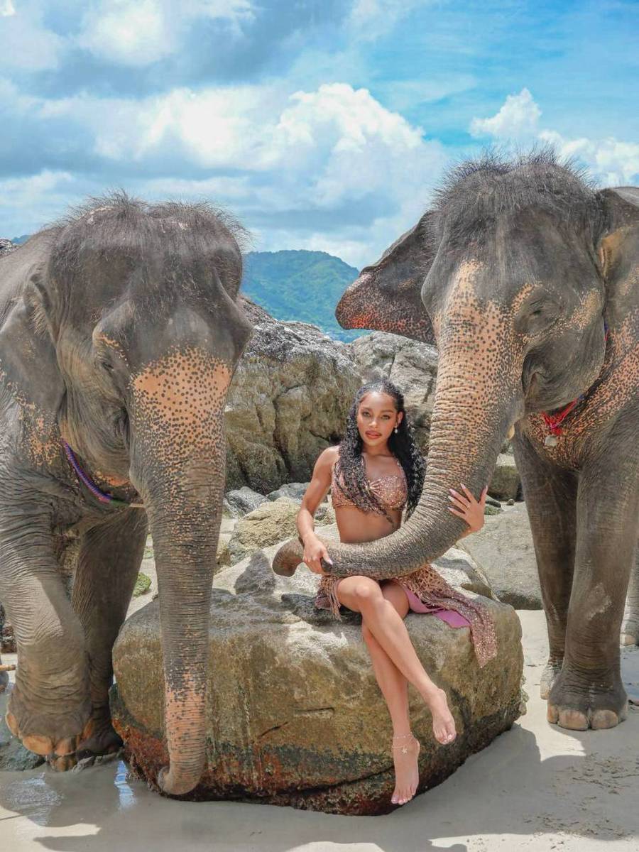 Take Photo & Ride Elephant on the Beach 15 minutes + SIC Transfer (Include Entrance Fee) (Option package) — image 3