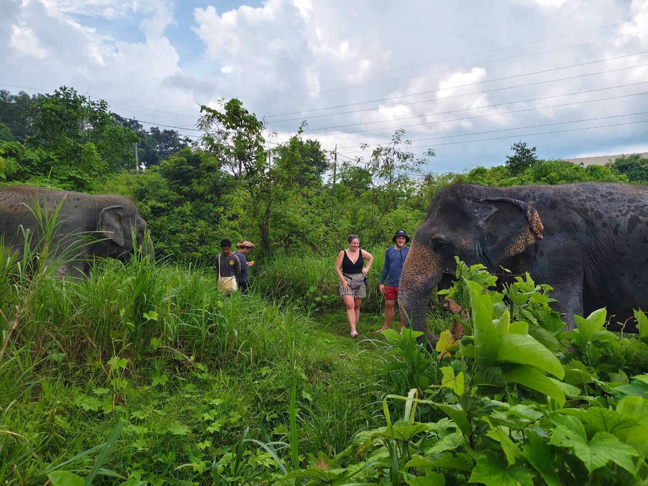 The Lake Phuket Elephant Home - Half-Day a Unique Experience (Program A) — image 9
