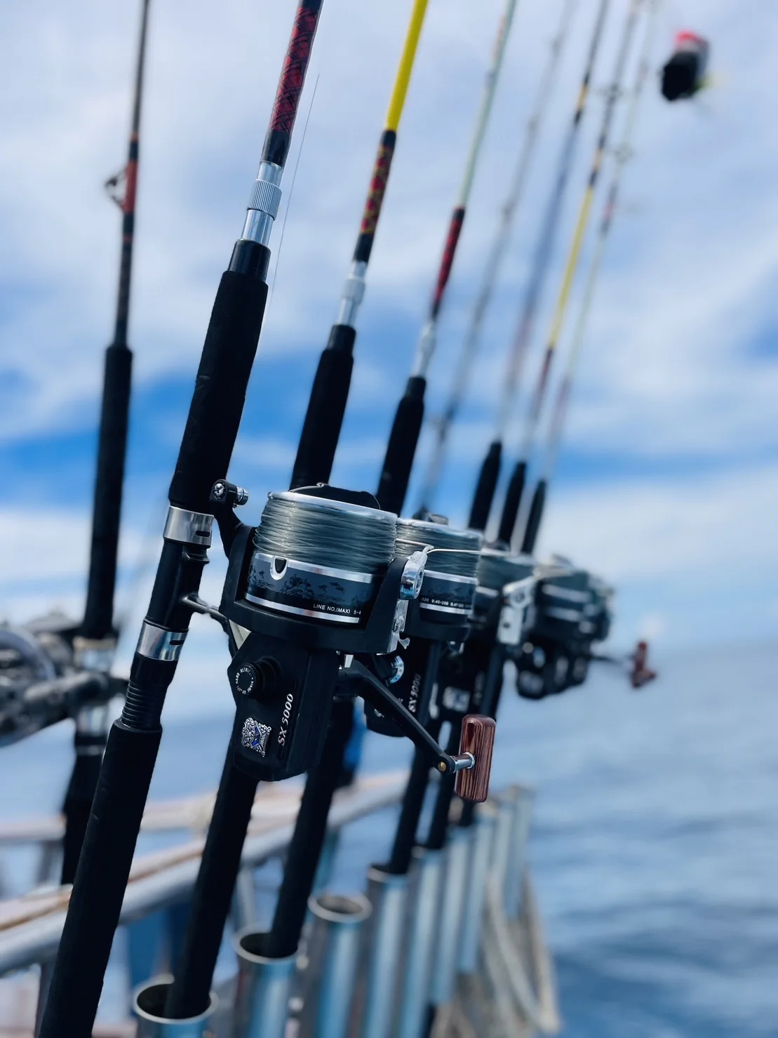 Full Day Big Game Fishing (Trolling & Spinning) + Lunch board + Transfer — image 5