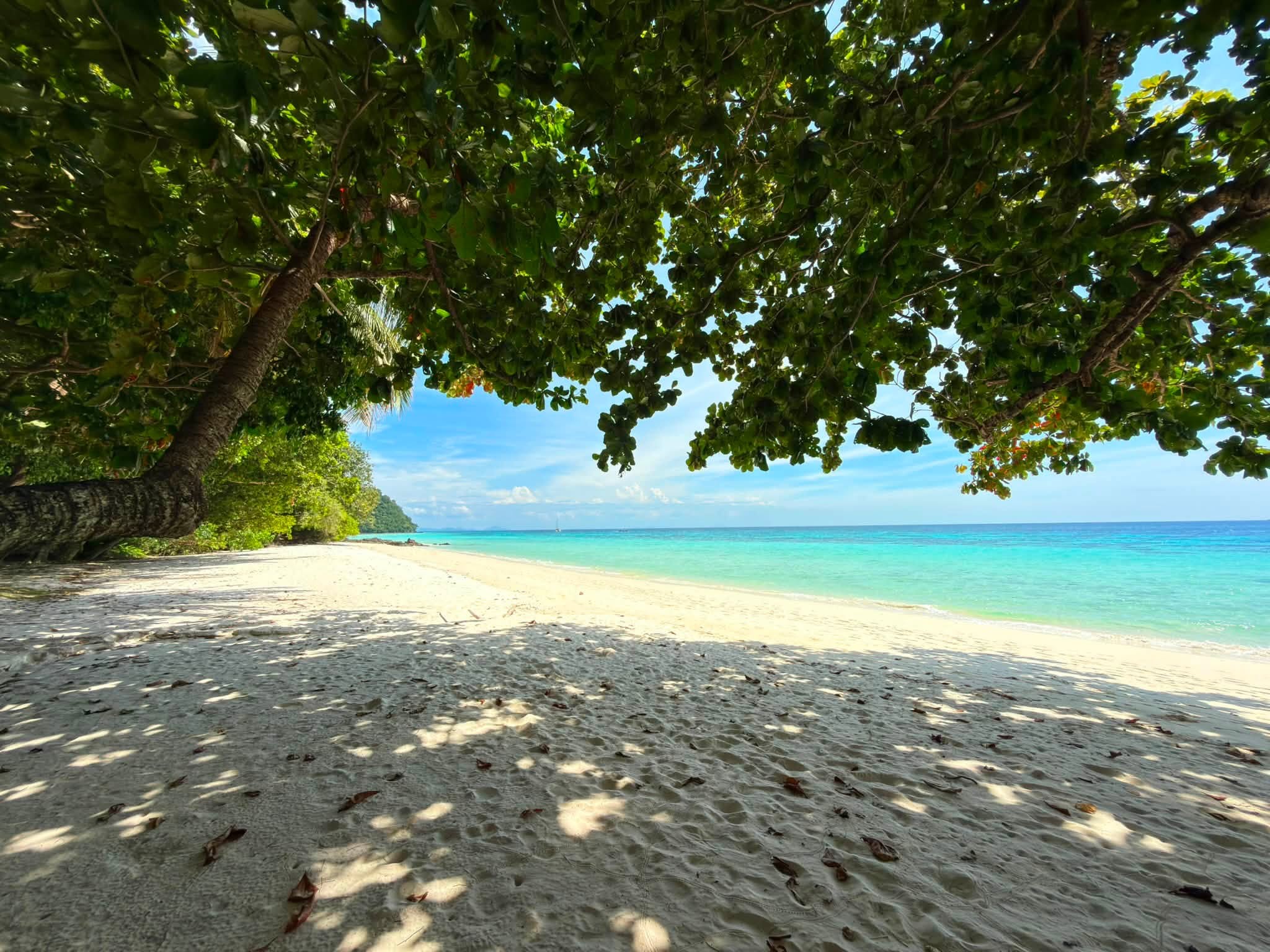 Koh Rok + Koh Ha Island Tour (By Speed Boat) + Lunch + SIC Transfer (Included National Park Fee)  — image 23