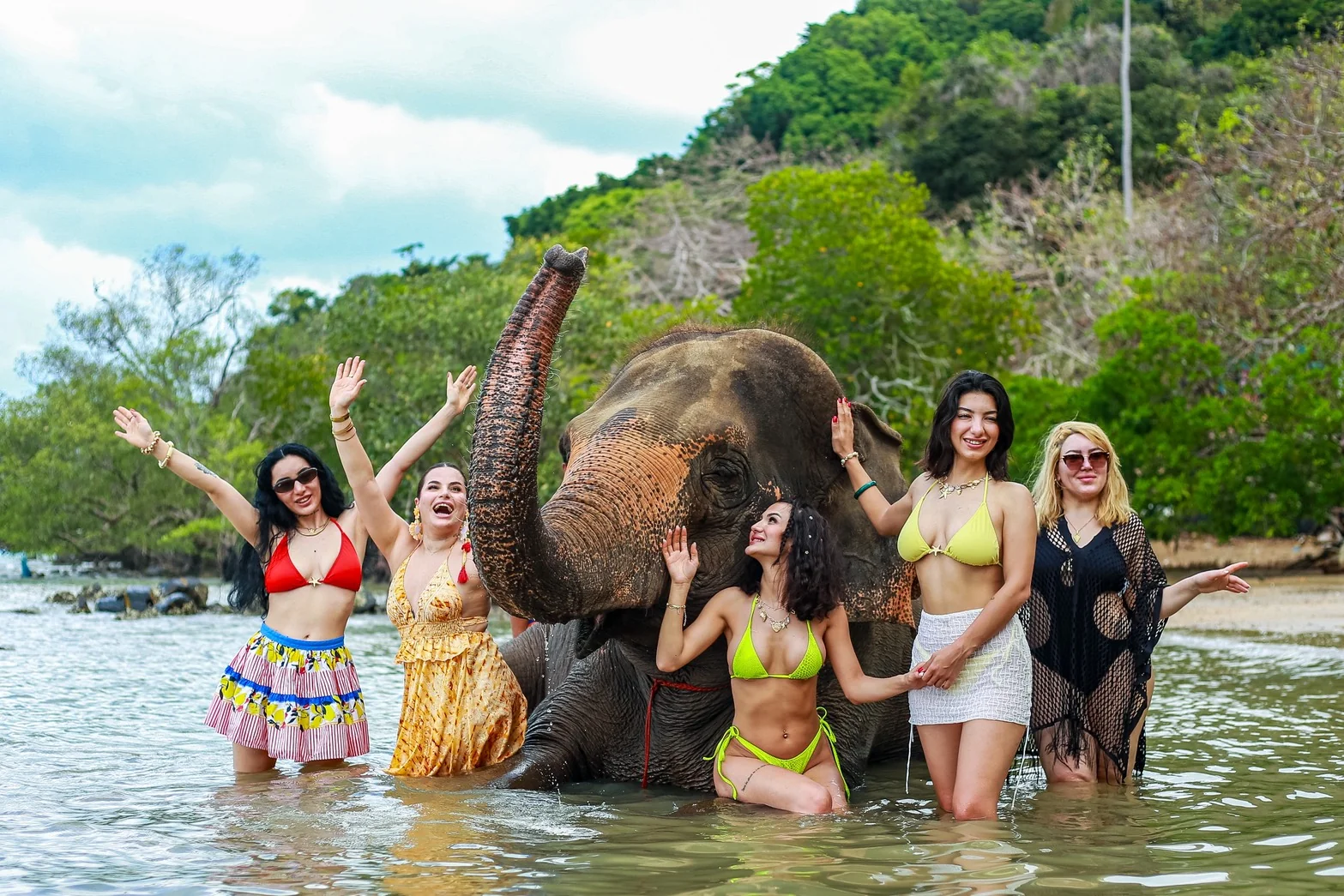 Feed & Bath at The Private Beach + SIC Transfer (2.5 - 3 hours) — image 1