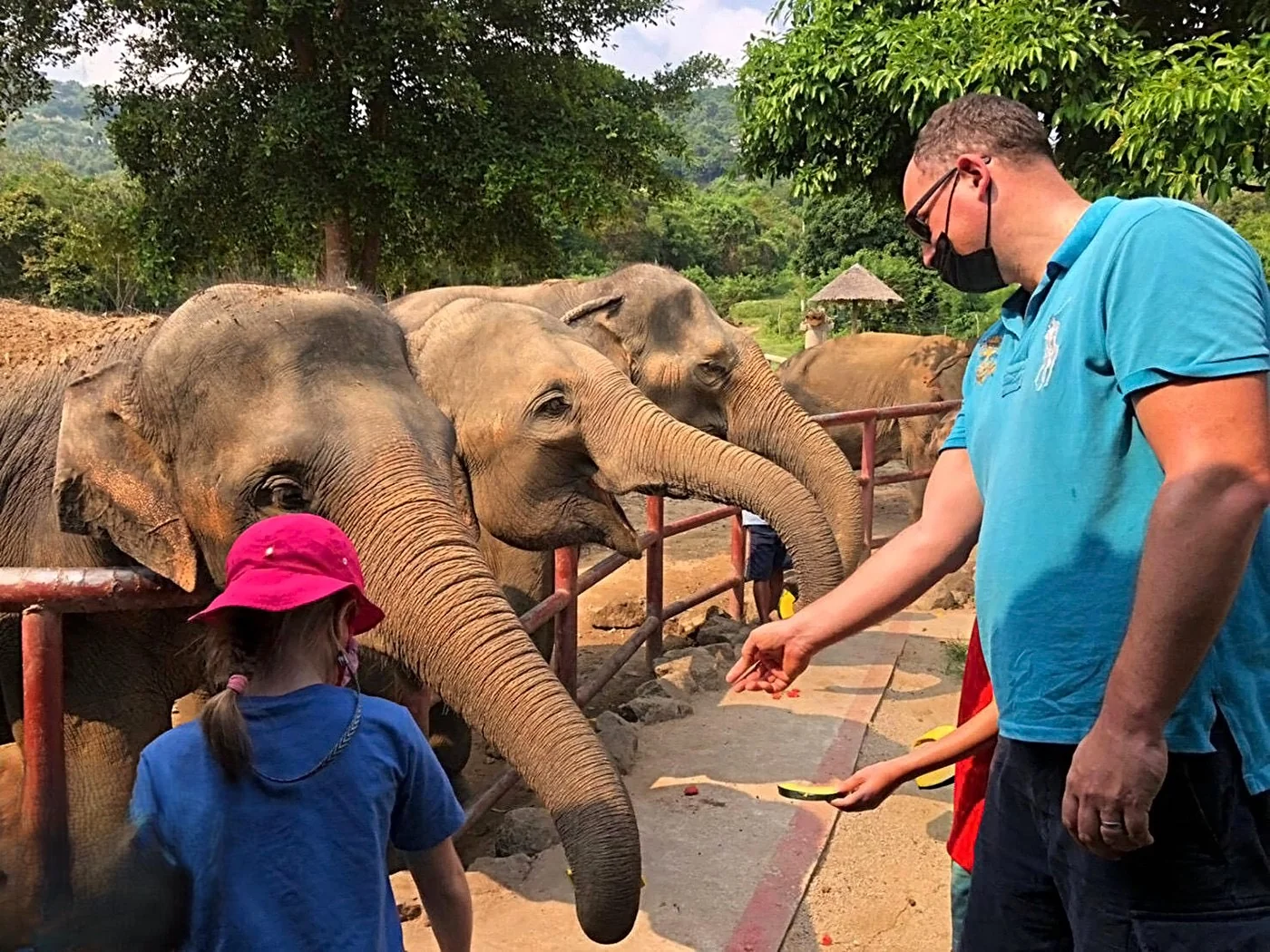 Samui Elephant Sanctuary + Transfer  — image 12