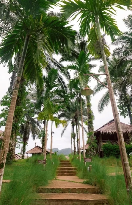 Khao Sok 2 Days 1 Night (Khaosok Jungle Discovery) (Overnight at Khaosok Discovery Camps)*minimum 2 Pax : KSL2-T — image 8