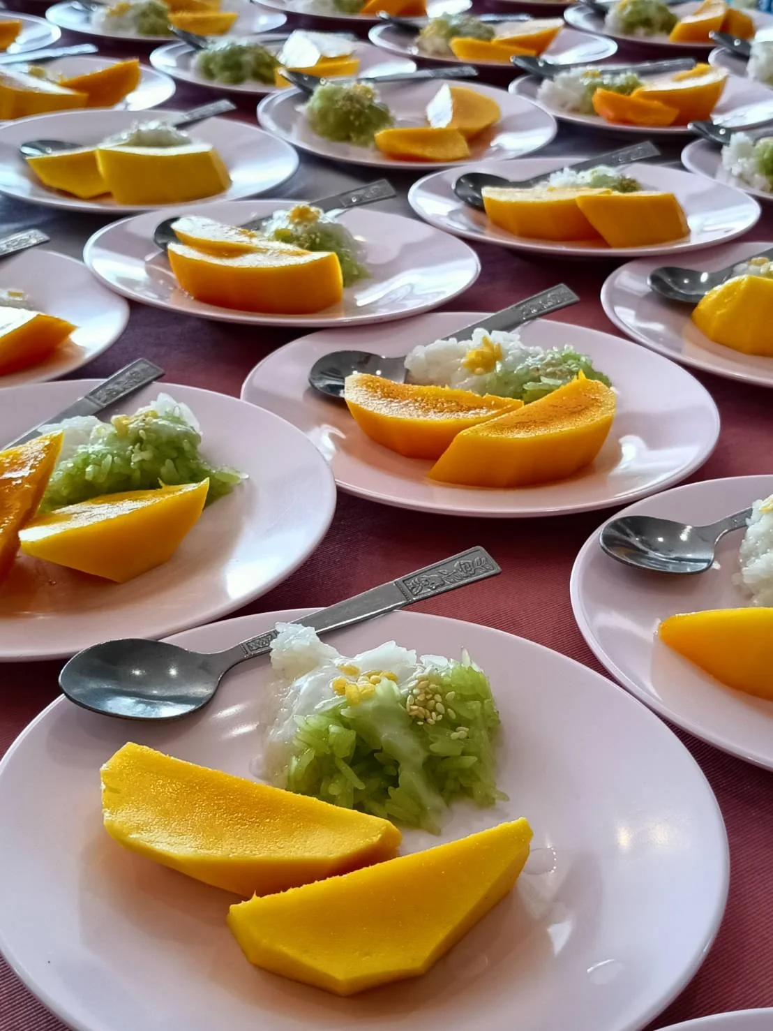 Racha Island + Coral Island + Scuba Diving + Photo & VDO Clip (by Speed Boat) + Lunch + SIC Transfer — image 5