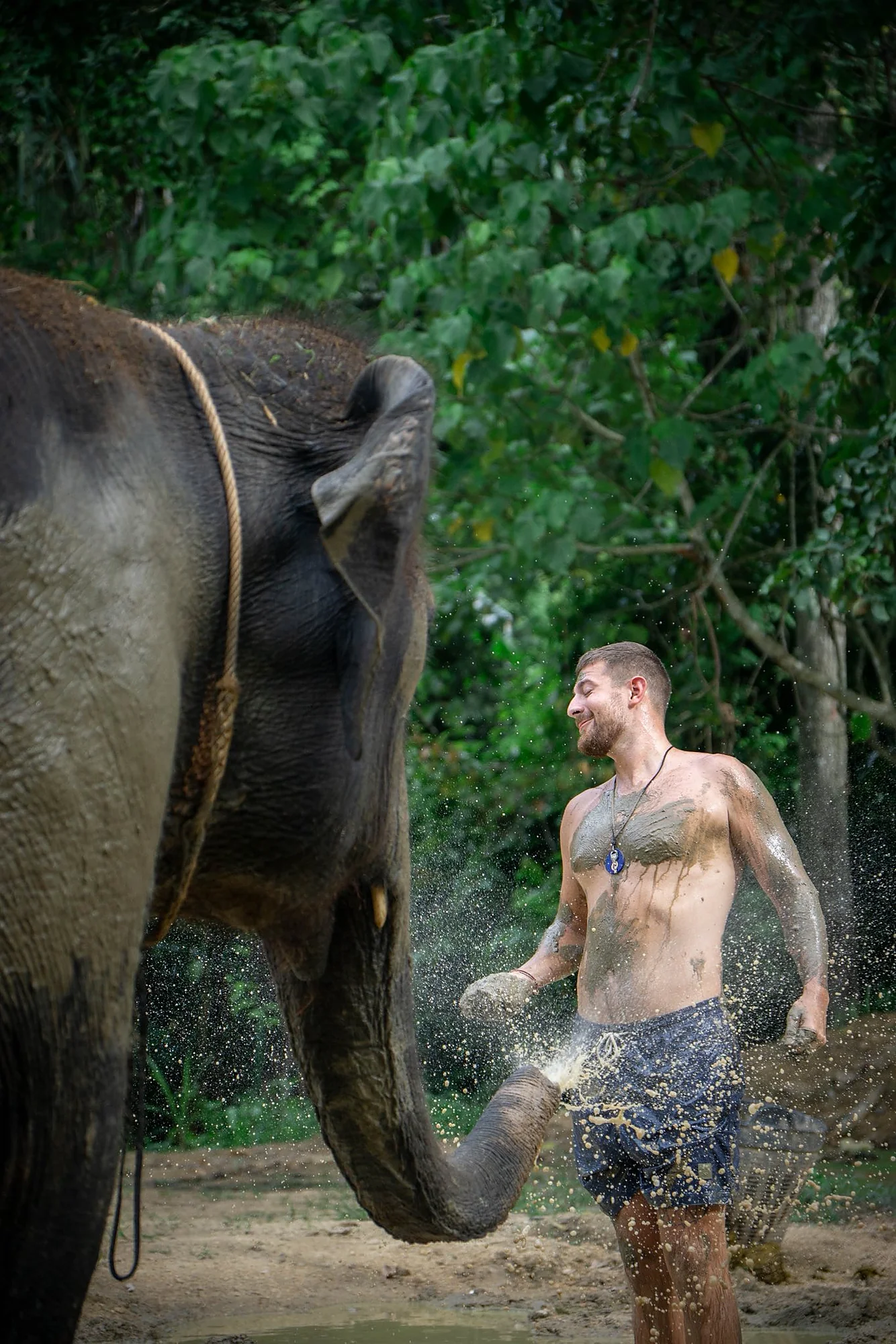 Samui Elephant Spa + Transfer  — image 13