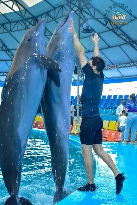 Swimming with dolphin - Free (Regular Seat) row E, F, G -  (No transfer) — image 3