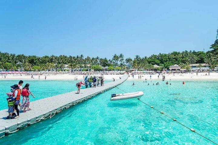 Racha Island + Coral Island + Scuba Diving + Photo & VDO Clip (by Speed Boat) + Lunch + SIC Transfer — image 3