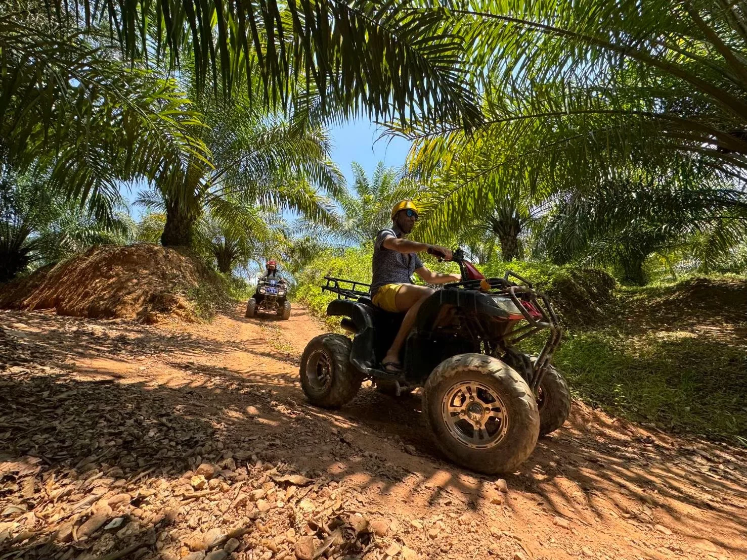 White Water Rafting 5.5 Km. + Elephant Trek 30 mins. + ATV 30 mins. + Waterfall + Lunch + Transfer — image 45