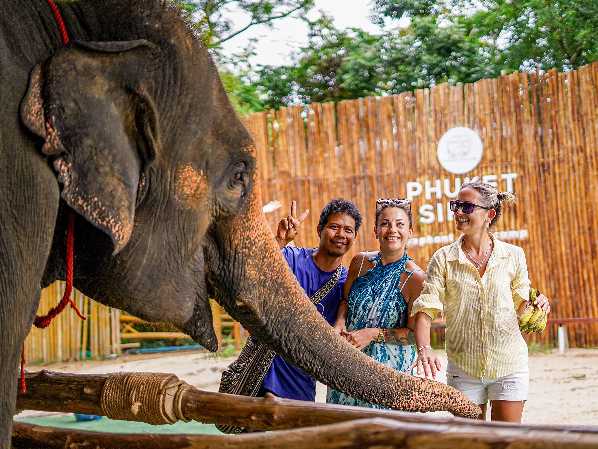 Elephant Feed &Care at Siray (no Transfer) (45 mins. - 1 hour) — image 5