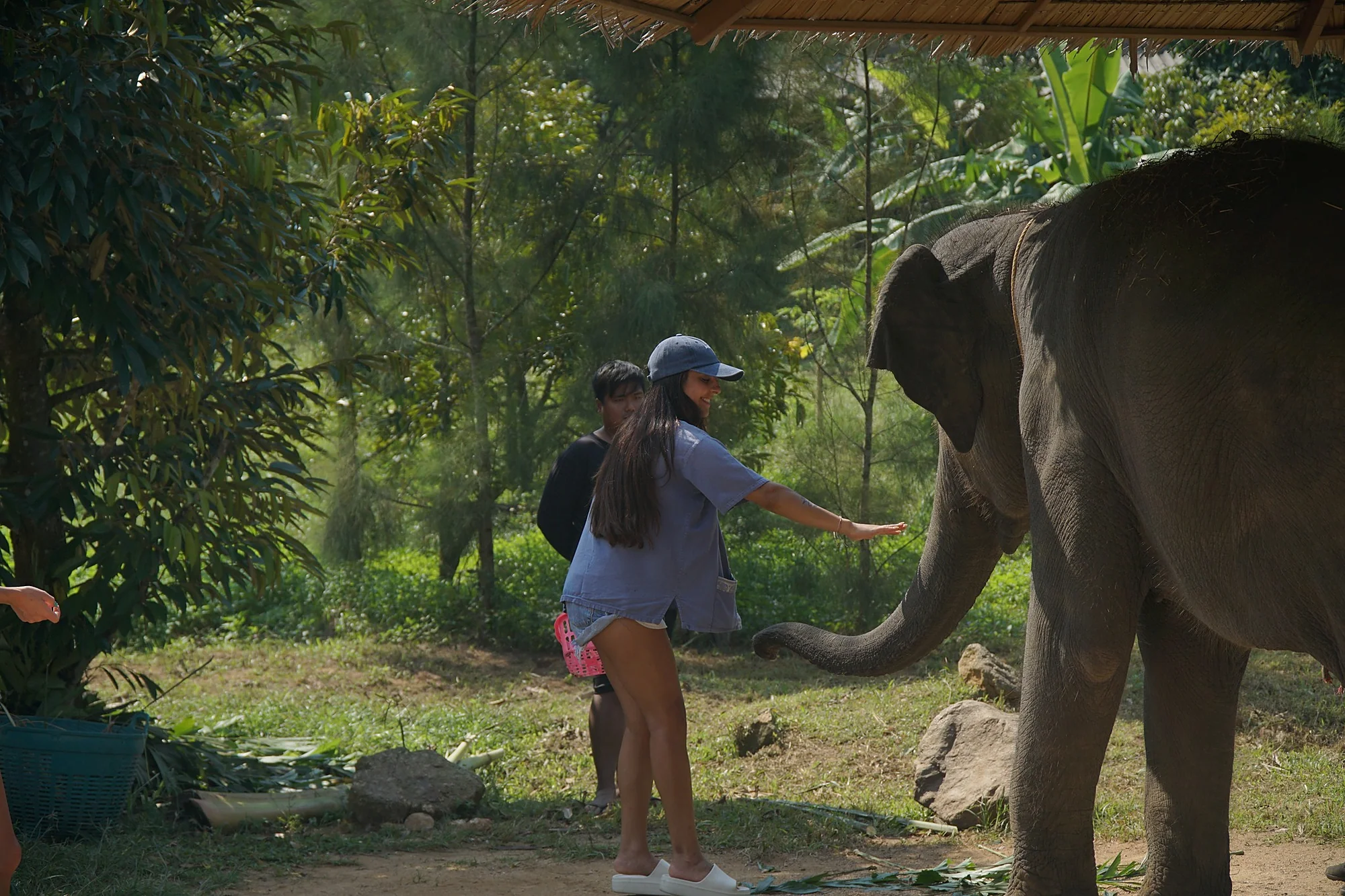 Samui Elephant Spa + Transfer  — image 7