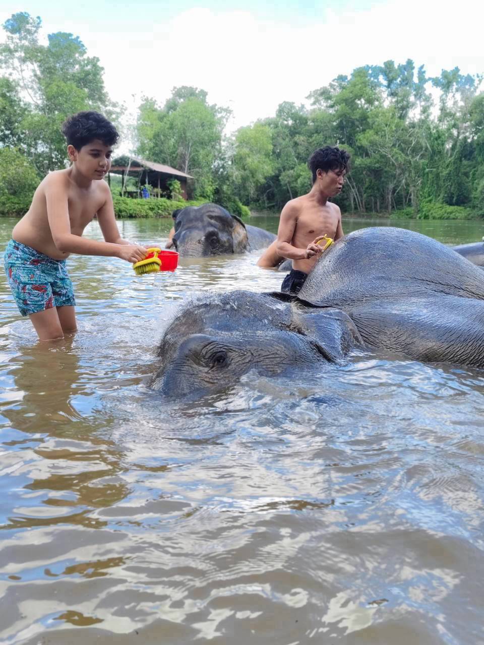 The Lake Phuket Elephant Home - FULLDAY Ethical Unforgettable Experience (Program B)  — image 24
