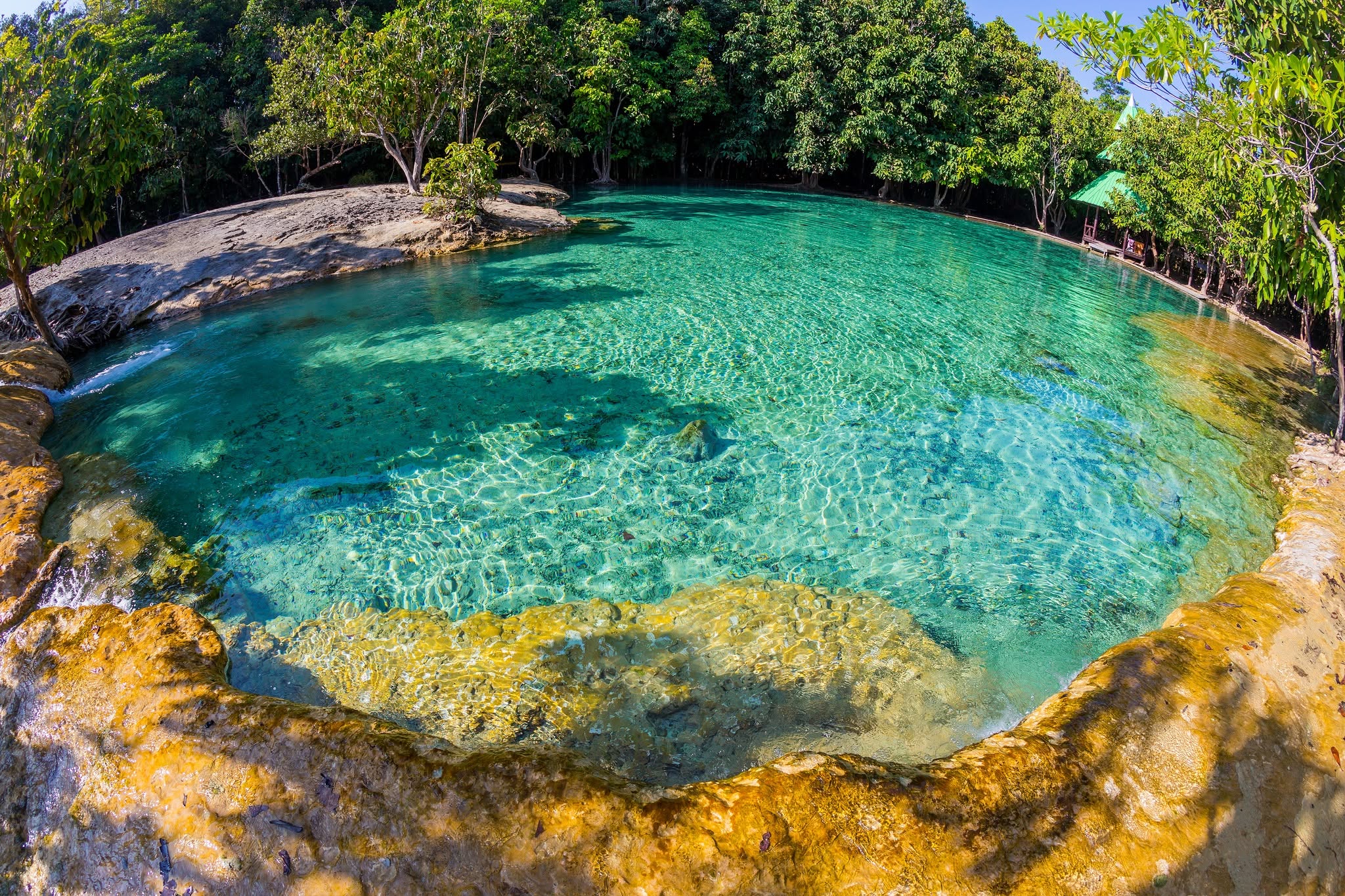 Krabi Jungle Tour - Hot Spring + Emerald Pool + Tiger Cave + Lunch + National Park Fees + No Transfer (P. A) — image 8