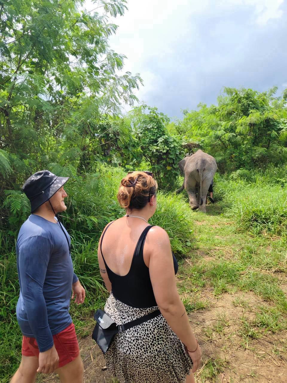 The Lake Phuket Elephant Home - FULLDAY Ethical Unforgettable Experience (Program B)  — image 16