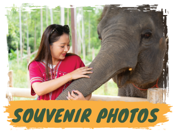 Elephant Sanctuary 3 Hrs. + Lunch + Not incl. Transfer - (Morning / Afternoon) — image 14