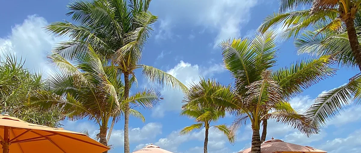Tann Beach Club day pass experience by the sea in Phuket