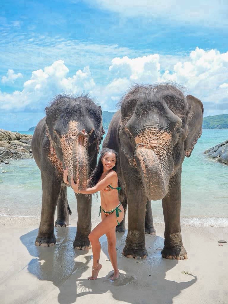 Take Photo & Ride Elephant on the Beach 15 minutes, Tri Trang + SIC Transfer (Include Entrance Fee) — image 1