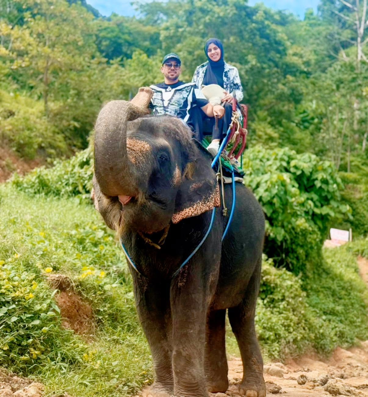 Elephant Trekking 1 hour — image 8