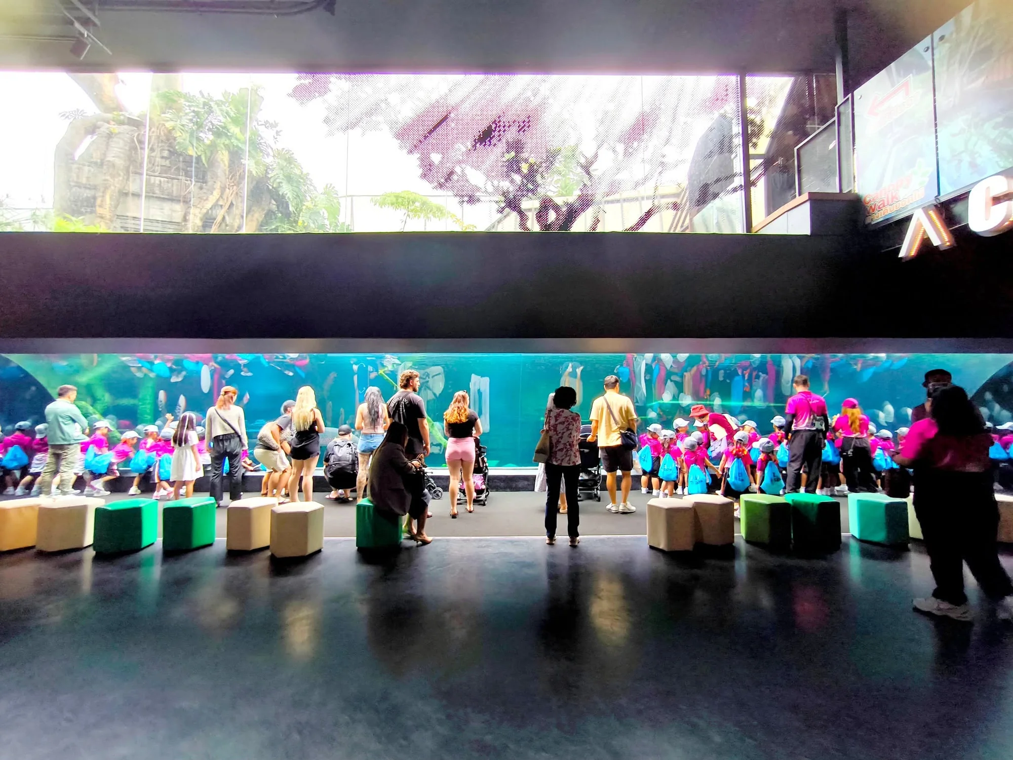 Aquaria Phuket (Underwater) + MAYA Media Art Museum Combo - (Indian Market : Nepali, Bangladeshi, Pakistani, Indian, Sri Lankan) — image 5