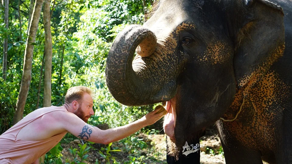 Samui Elephant Spa + Transfer  — image 2